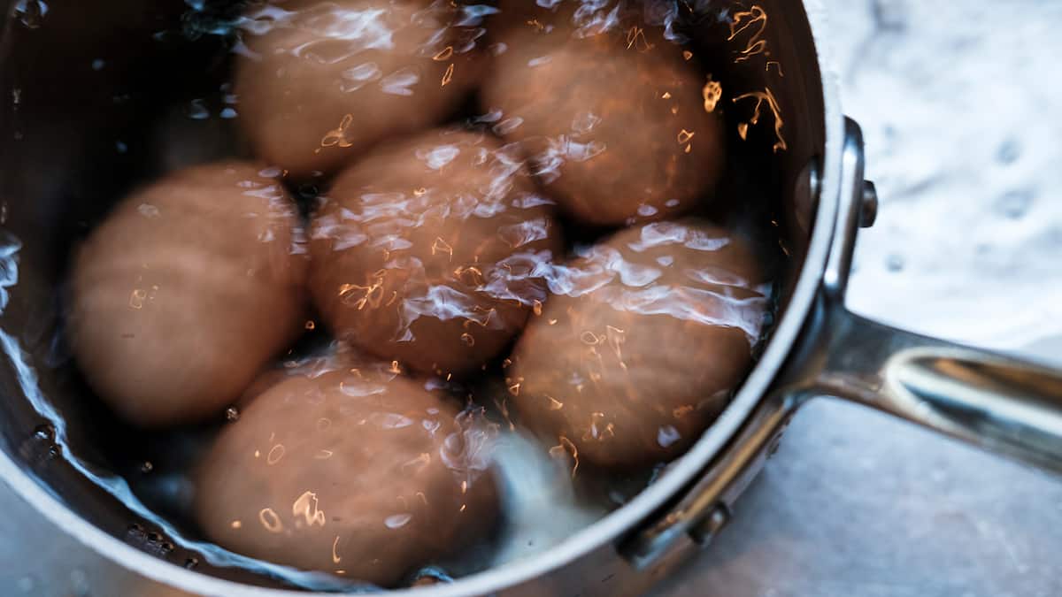 Zimmerpflanzen-freuen-sich-ber-Eierwasser