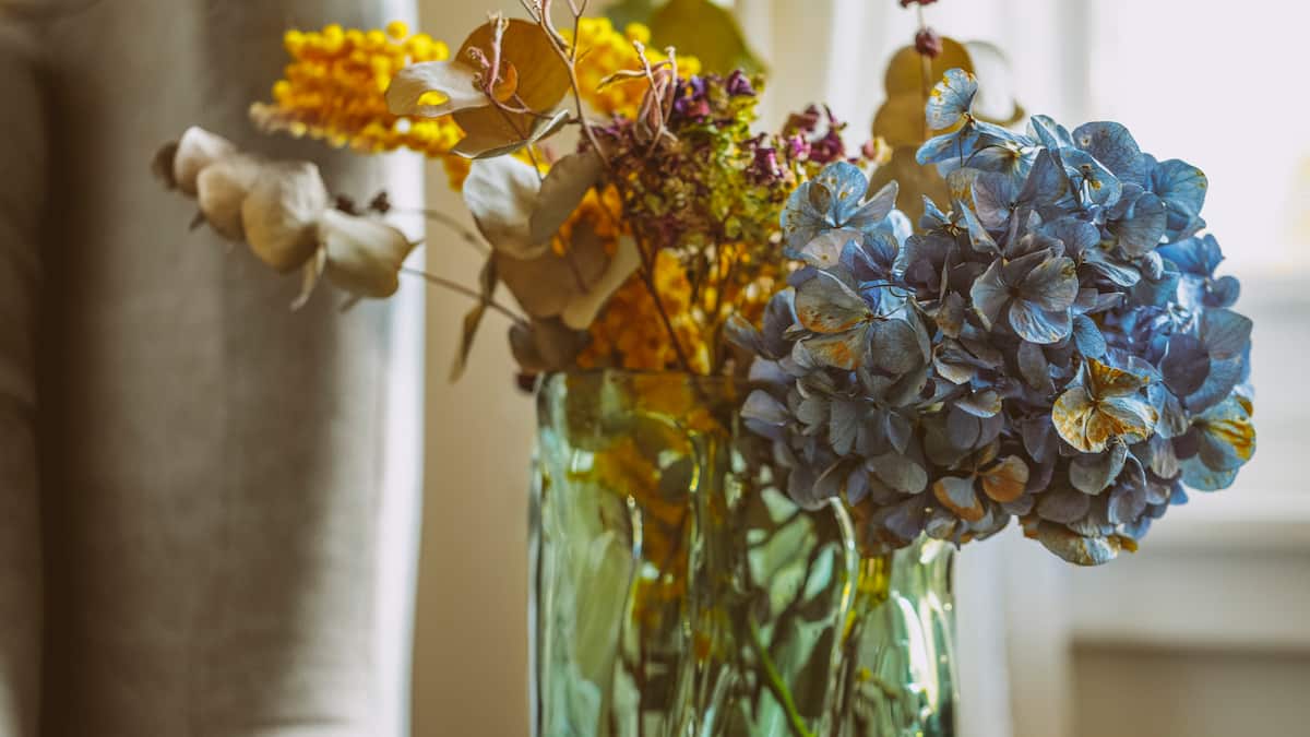 Diese-Schnittblumen-eignen-sich-zum-Trocknen
