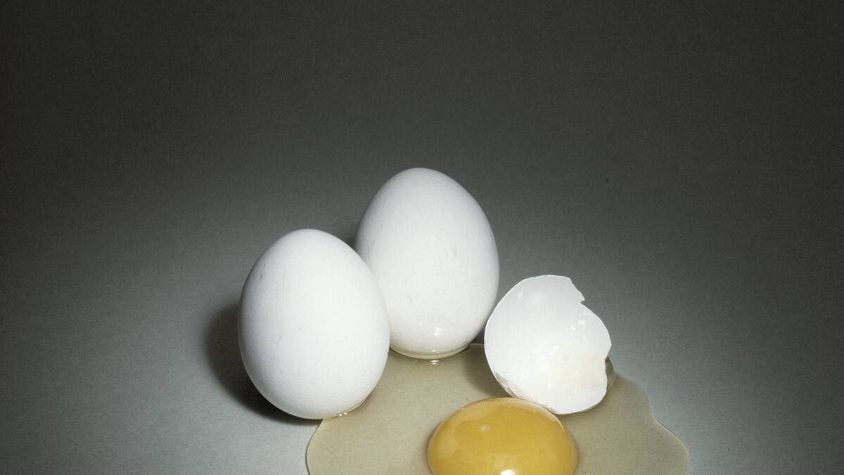Düngen Sie den Garten mit Eierschalen Schweizer Illustrierte