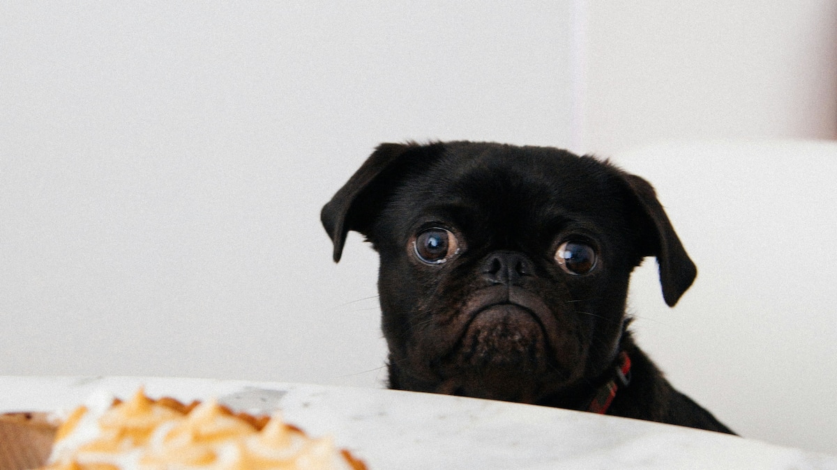 Was-hilft-gegen-Heisshungerattacken-