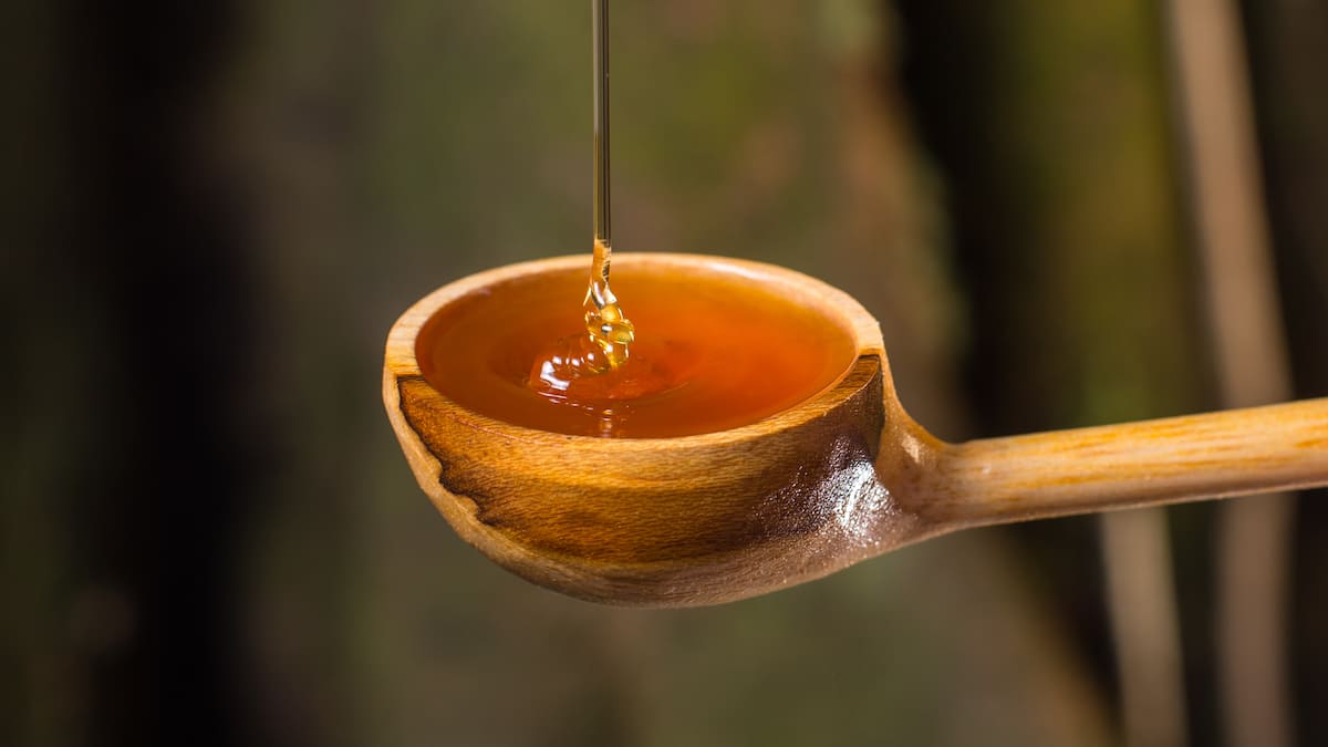 Zuckerersatz Wie gesund ist Agavendicksaft? Schweizer Illustrierte