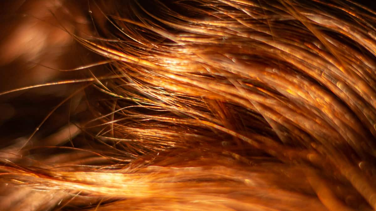 Wie-bleibt-die-Haarfarbe-strahlend-