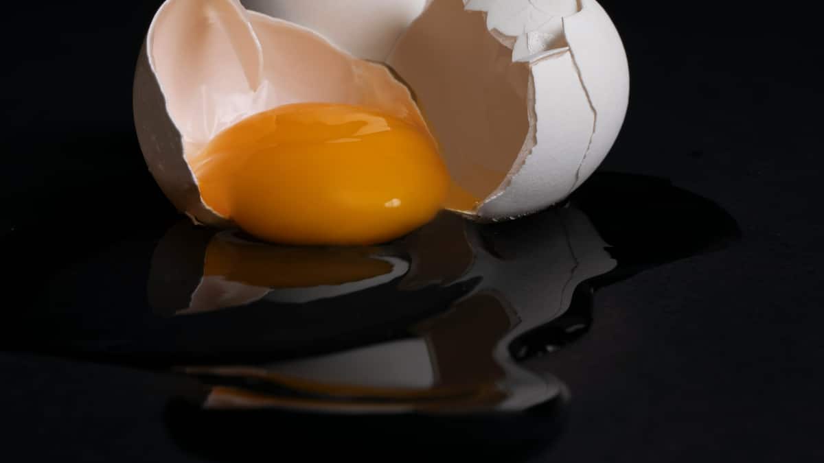 Steckt-das-Cholesterin-im-Eigelb-