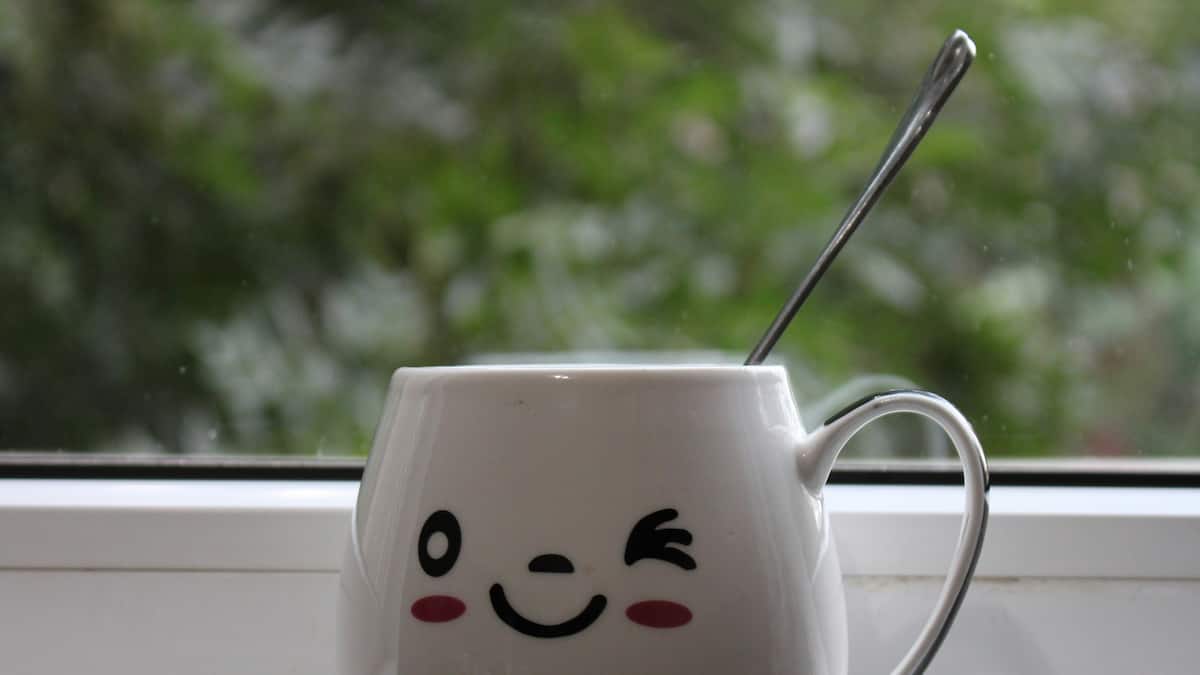 Welche-Teesorten-st-rken-die-Abwehrkr-fte-