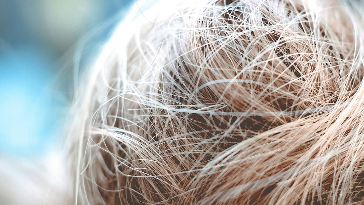 Was-trocknet-die-Haare-aus-