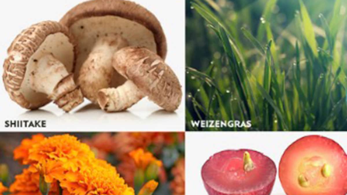 Checkup Vitalität bis ins hohe Alter Schweizer Illustrierte