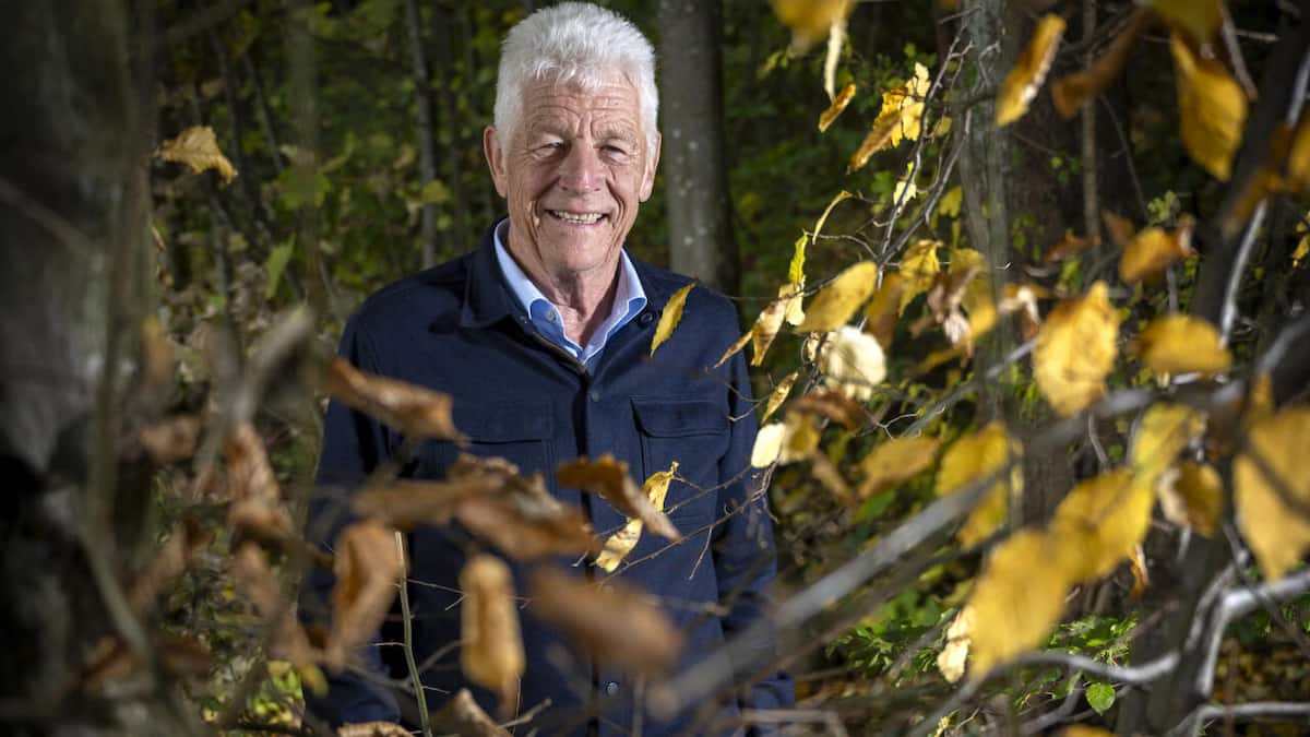 -Die-Bahnpolitik-ist-verheerend-