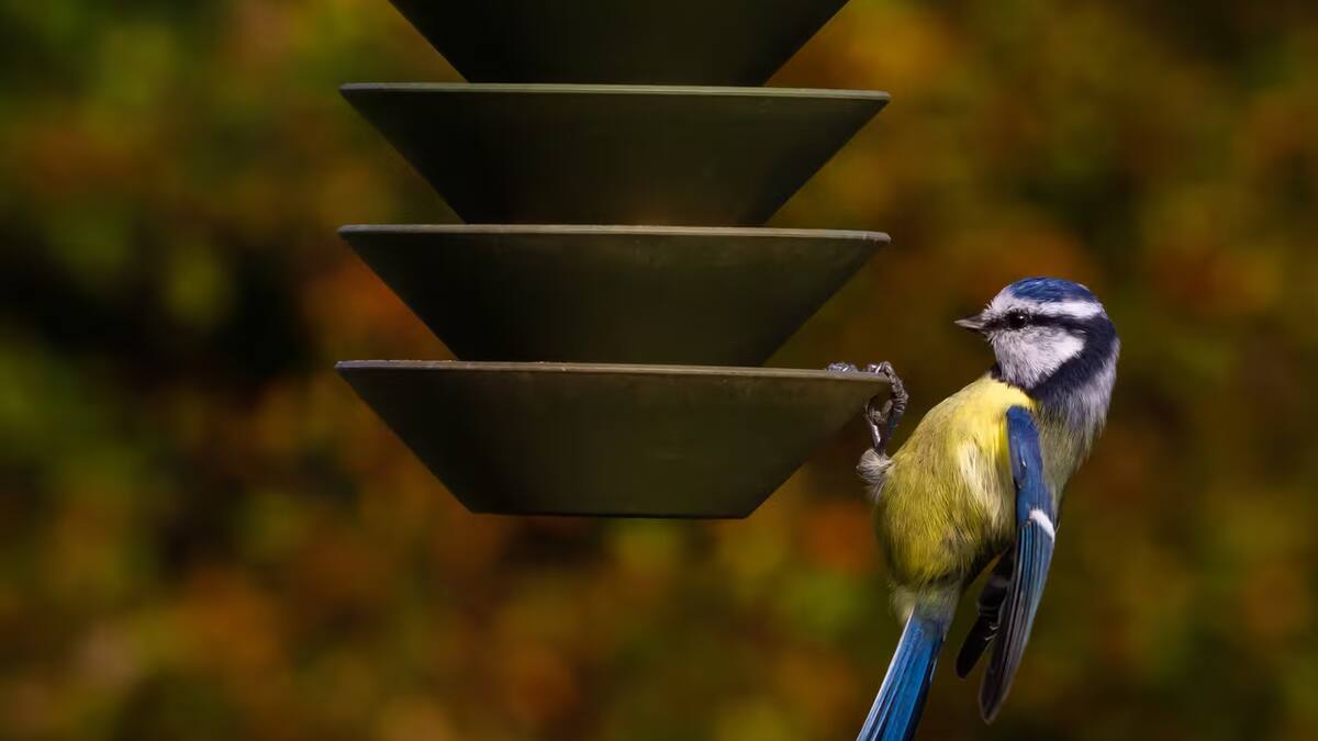 Gut-durch-den-Winter-mit-diesen-Tierh-uschen