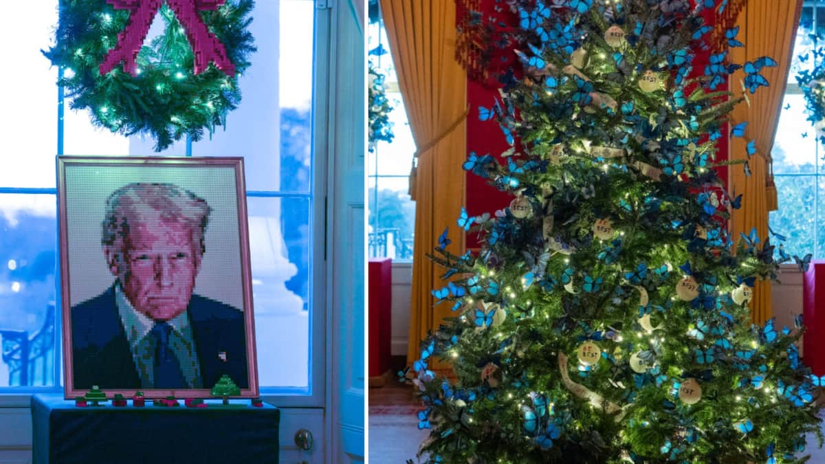 lego-trump-und-blaue-schmetterlinge-die-weihnachtsdeko-im-weissen-haus