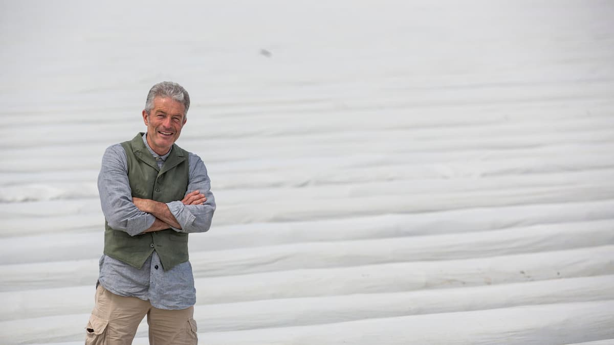 Der SpargelCaspar Schweizer Illustrierte