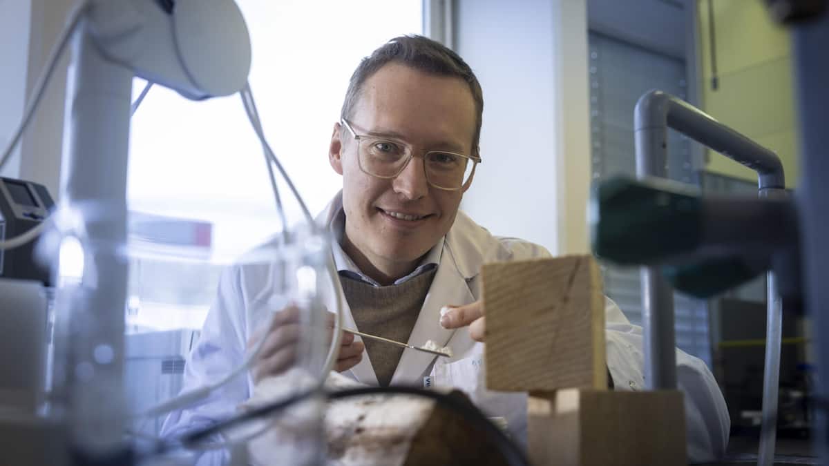 Der-Weissmacher-auf-dem-Weg-zur-Erleuchtung