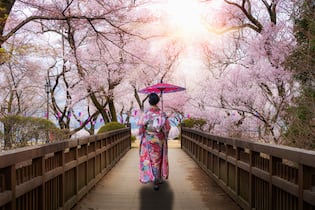 Die schönsten Hanami-Spots der Schweiz Asian women wearing traditional japanese kimono with red umbralla walking in Kasuga Park with Cherry blossom in background in spring season in Nagano, Japan. Woman walking to sightseeing in Japan.