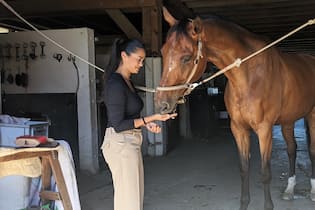 «Wir beide sind wie Sportwagen ohne Bremsen» «Wir beide sind wie Sportwagen ohne Bremsen» «Tierisch prominent» mit Alina Buchschacher: