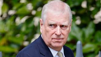 Sexgrüsel Andrew treibt Royals in den Wahnsinn Königlicher Podcast «RoyalTea» Sexgrüsel Andrew treibt Royals in den Wahnsinn