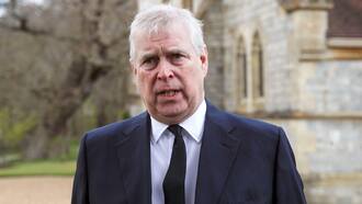 Andrew masslos arrogant: Jetzt motzt er über seine Bediensteten Königlicher Podcast «RoyalTea» Andrew masslos arrogant: Jetzt motzt er über seine Bediensteten