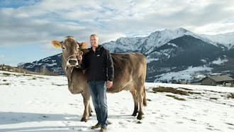 Renzo Blumenthal: «Ich bin sanfter geworden» 20 Jahre nach Mister-Wahl: Renzo Blumenthal: «Ich bin sanfter geworden»