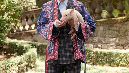 Harry Styles Baby Tiere Gucci