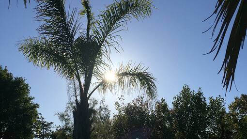 Blog Sacha von der Crohe Südafrika Lodge