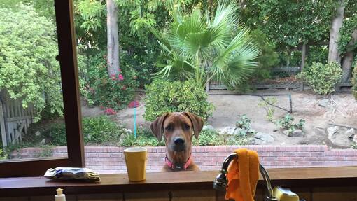 Sacha von der Crone Auswanderer Südafrika Lodge Federer