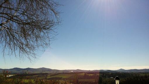 Neues Leben am Kap - voller guter Hoffnung