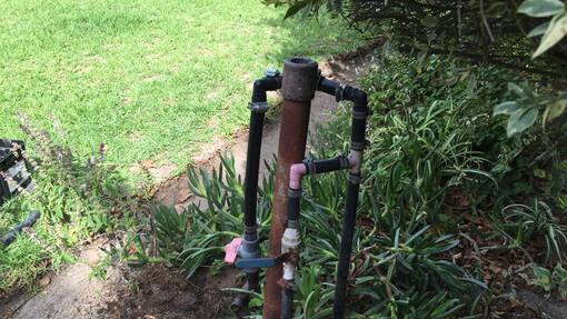 Neues Leben Südafrika Blog Sacha von der Crone