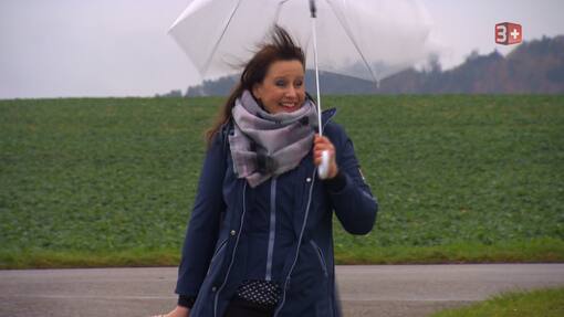 Bauer, ledig, sucht, Staffel 13, Folge 28