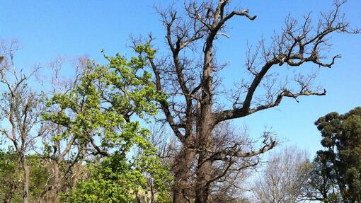 Sacha von der Crone Auswanderer Südafrika Lodge