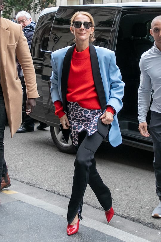 PARIS, FRANCE - JANUARY 31: Singer Celine Dion is seen on January 31, 2019 in Paris, France. (Photo by Marc Piasecki/GC Images)