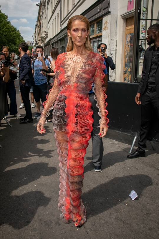 PARIS, FRANCE - JULY 01: Singer Celine Dion is seen on July 01, 2019 in Paris, France. (Photo by Marc Piasecki/GC Images)