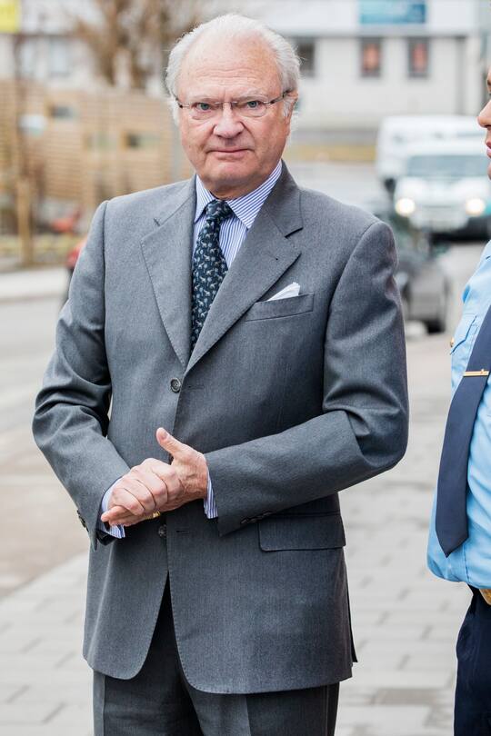 King Carl XVI Gustaf of Sweden was wearing a funny tie with elephants and palmtrees and seemed to be in a good mood during the visit to the police station in Skärholmen, a suburb in southern StockholmCarl Gustav de Suede