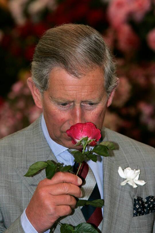 Charles riecht gerne an Blumen und allem, was gut duftet.