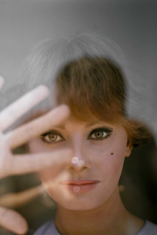 Italian actress Sophia Loren looking through the glass of a window with her right hand up, New York City, US, 1954. (Photo by Tony Vaccaro/Getty Images)