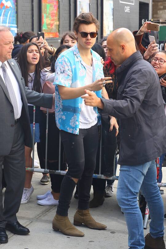 Harry Styles wird leider nicht der neue Prinz Eric.