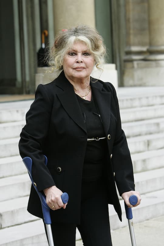 FRANCE - SEPTEMBER 27: Former Actress And Now Animals Rights Activist Brigitte Bardot Invited For A Meeting On The Environment With French President Nicolas Sarkozy, At The Elysee Palace In Paris, France On September 27, 2007 - (Photo by Gilles BASSIGNAC/Gamma-Rapho via Getty Images)