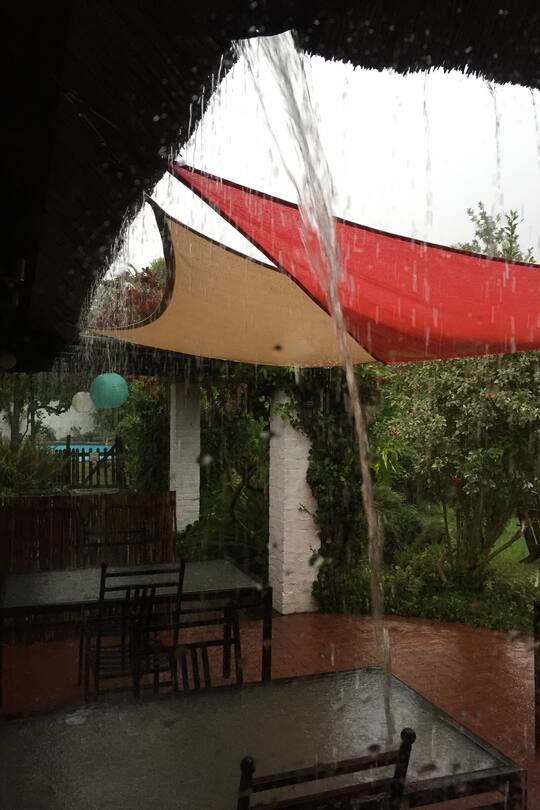 Auswandern Südafrika Blog Sacha von der Crone Fynn Herbst Leben Alltag