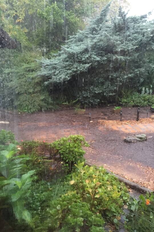 Auswandern Südafrika Blog Sacha von der Crone Fynn Herbst Leben Alltag