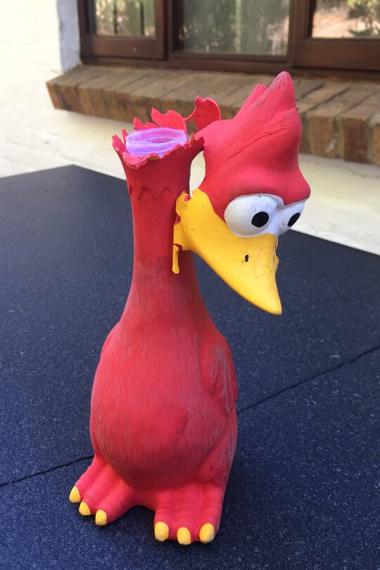 Auswandern Südafrika Blog Sacha von der Crone Fynn Herbst Leben Alltag