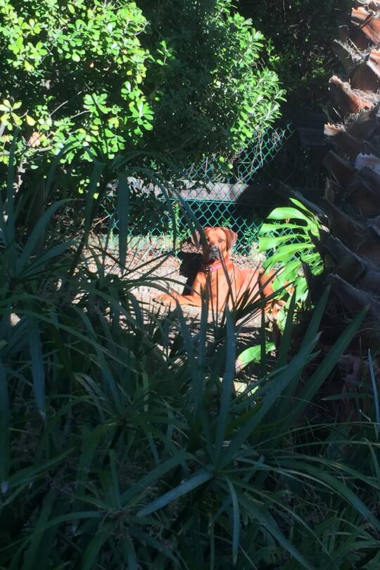 Auswandern Südafrika Blog Sacha von der Crone Fynn