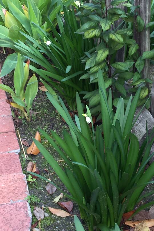 Auswandern Südafrika Blog Sacha von der Crone Leben Alltag