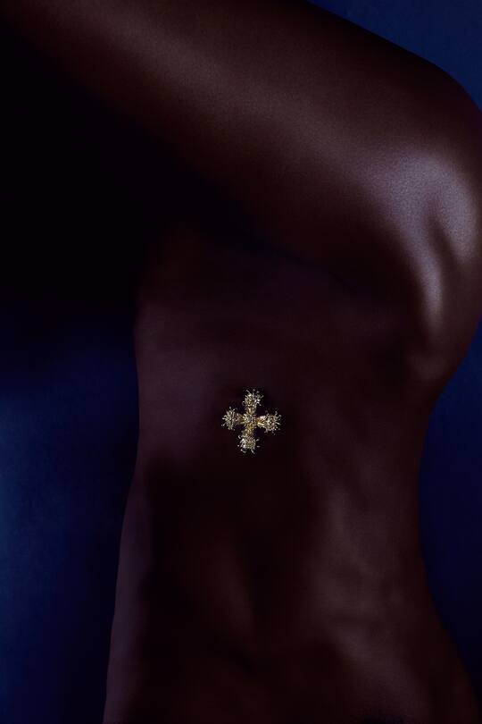 Editorial Königin der Nacht