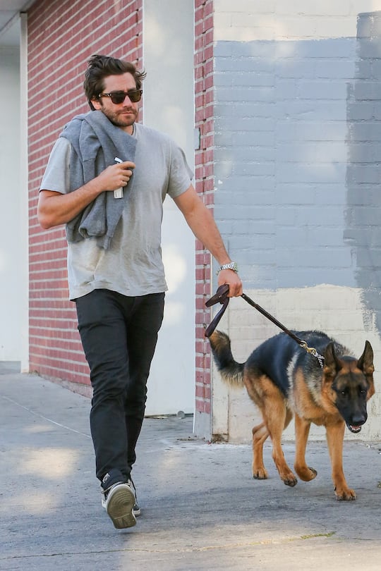 LOS ANGELES, CA - APRIL 20: Jake Gyllenhaal is seen in Los Angeles on April 20, 2015 in Los Angeles, California. (Photo by Bauer-Griffin/GC Images)