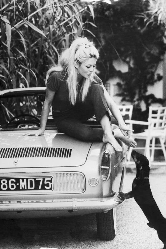 (Original Caption) Not a garage mirage, Brigitte Bardot relaxes in barefoot style with her pet dachshund at her villa in St. Tropez, France. The famed French star forms an impressive trunk ornament as she relaxes on her new Caravelle "S" car between movie roles.