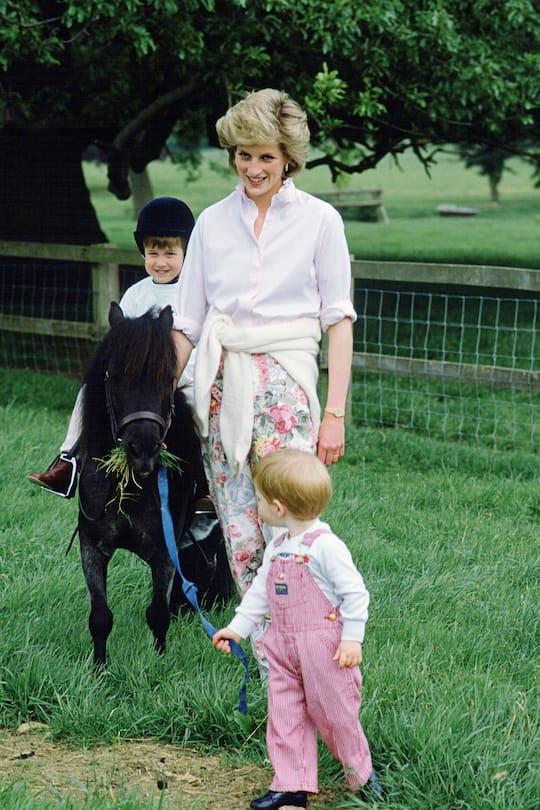 TETBURY, UNITED KINGDOM - JULY 18: Princess Diana With Her Sons, William And Harry As They Play In The Grounds Of Highgrove. William Is Riding A Pony (Photo by Tim Graham Photo Library via Getty Images)