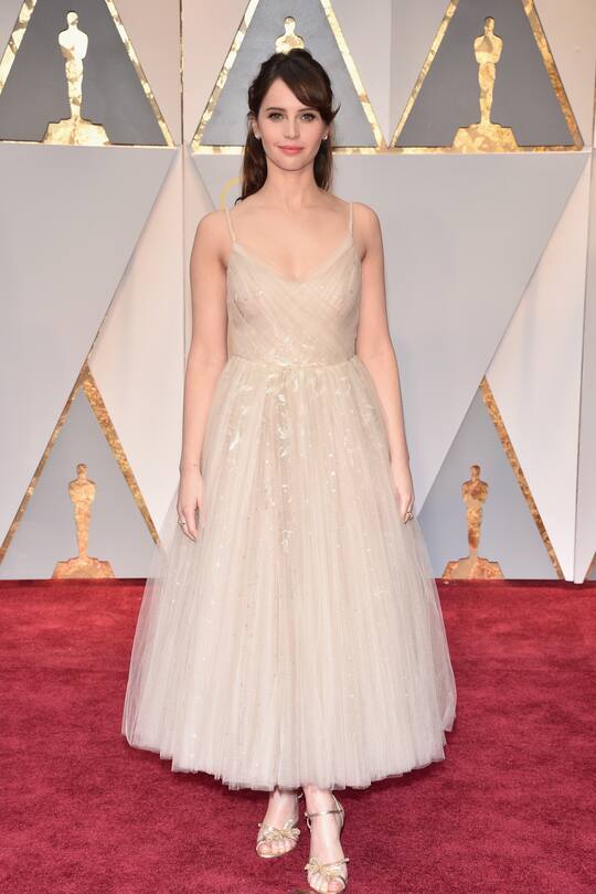 Oscars 2017 Red Carpet Looks