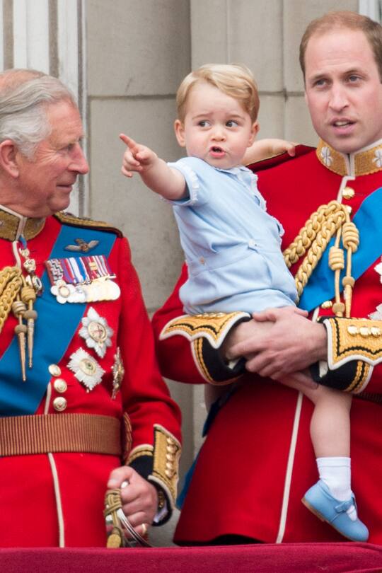 Prinz Charles Prinz George Prinz William
