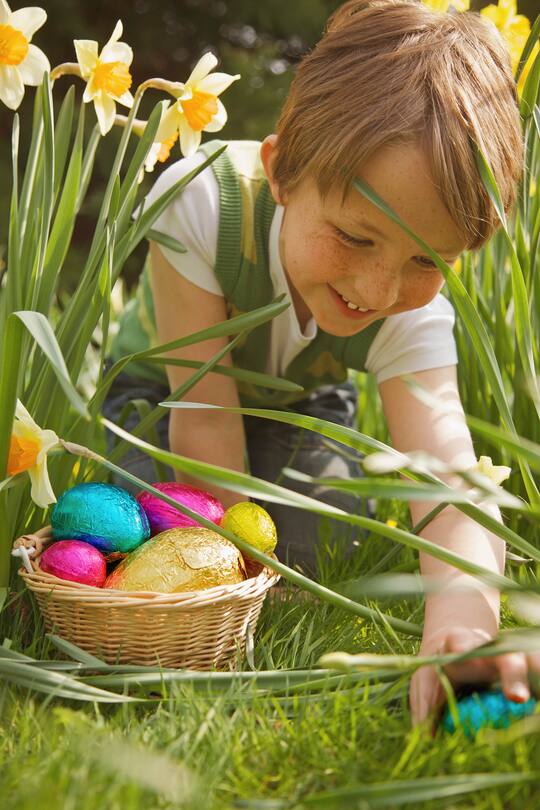 Bub auf Ostereiersuche