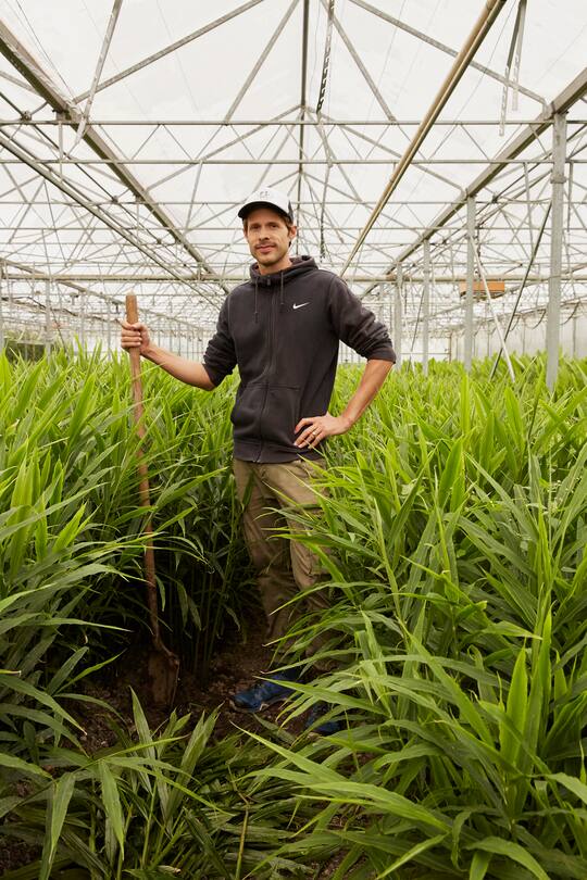 Stephan Müller Ingwer Produzent SI GRUEN 4/2019