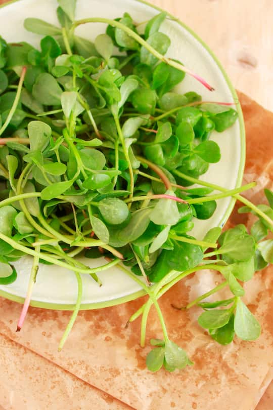 A plate of fresh purslane