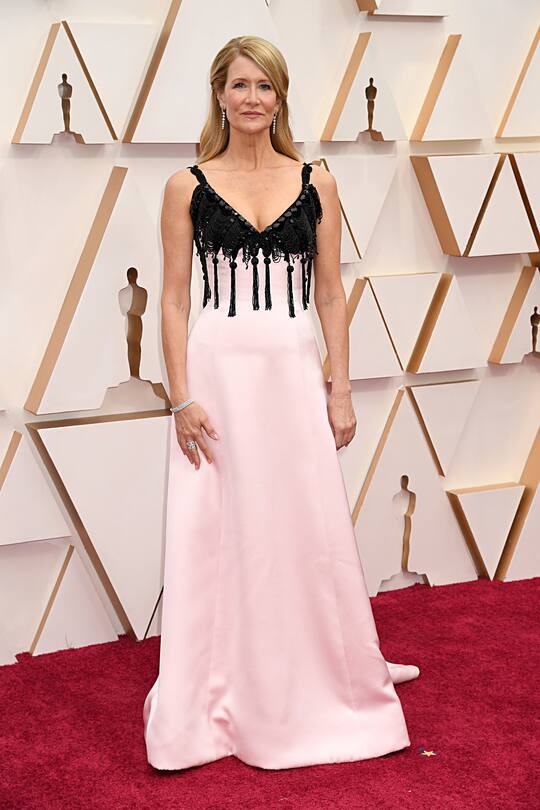 Oscar Red Carpet 2020