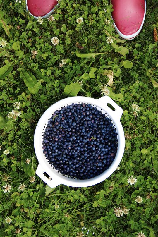 fork and flower X SI Style Rezept: Blaubeer Galette